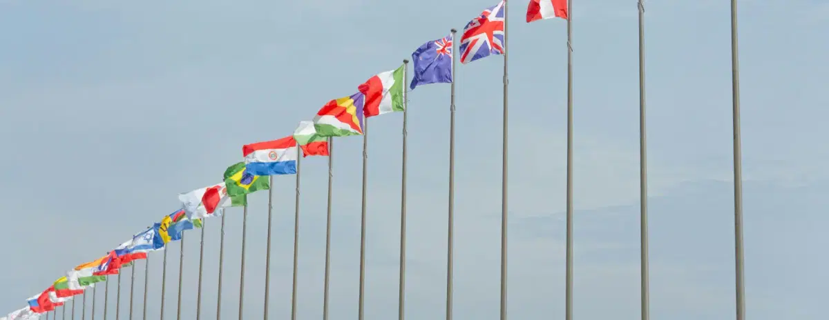 Government & Public Sector